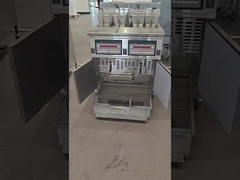 OFG-220 two pots four baskets with oil filtration gas open chips fryer